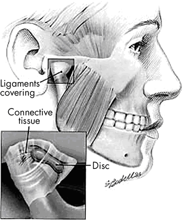 ligaments of the jaw